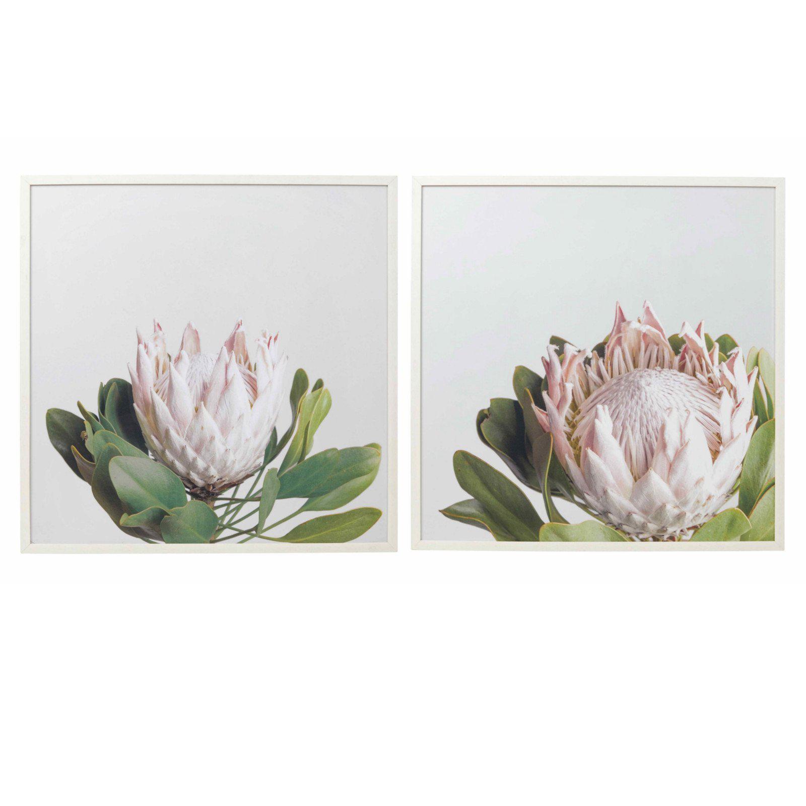 Proteas Flower Wall Decor Wall Art With Frame-wall art-Chef's Quality Cookware