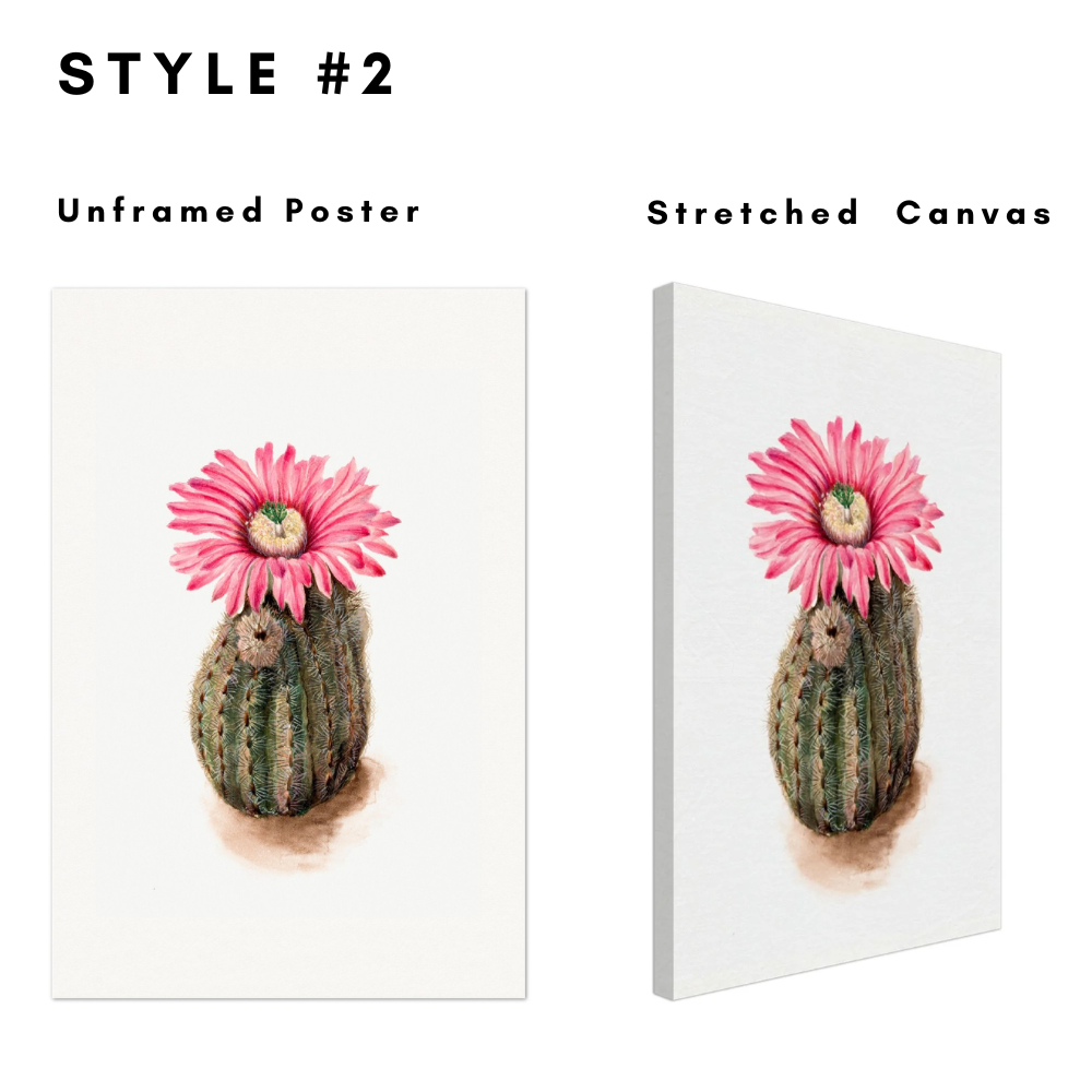 Beautiful Succulents Cactus Flower Bloom Art Canvas Wall Art Poster Print